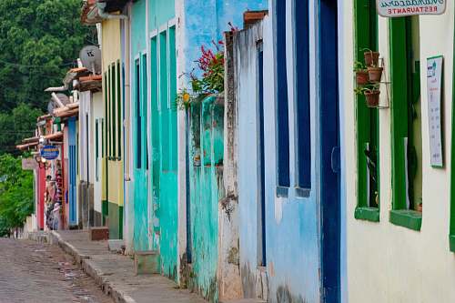 walkway assorted-color house lencois