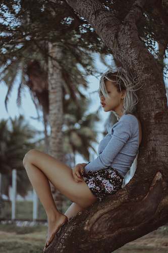 person woman in gray long-sleeved shirt seating under tree human