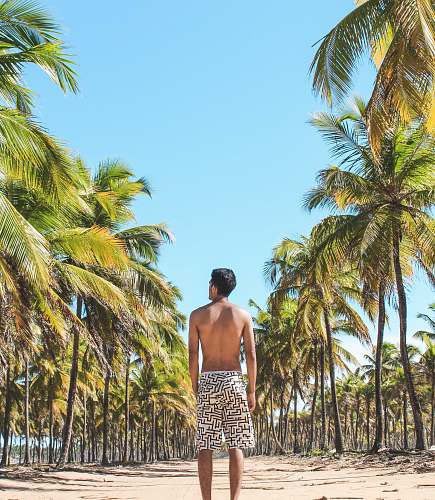 people man standing on empty road in between coconut trees human