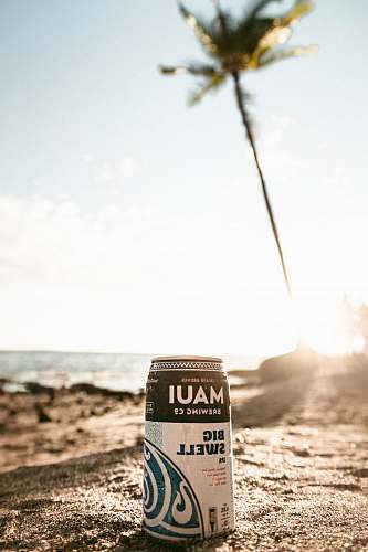 drink Maui Big Swell can beer