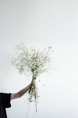 flora person holding flowers ikebana