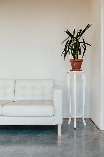 interior green leaf plant on brown pot vase
