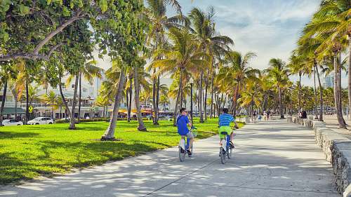 bicycle boy riding gray bikes bike