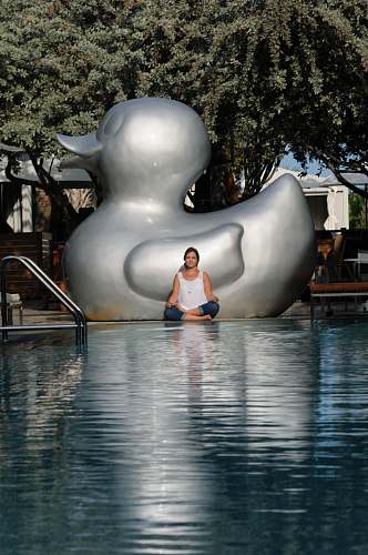 person white and orange duck statue on water water