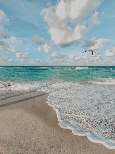 ocean body of water photograph outdoors