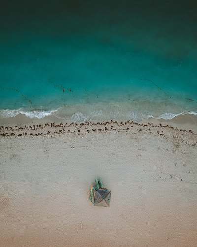 nature  beach