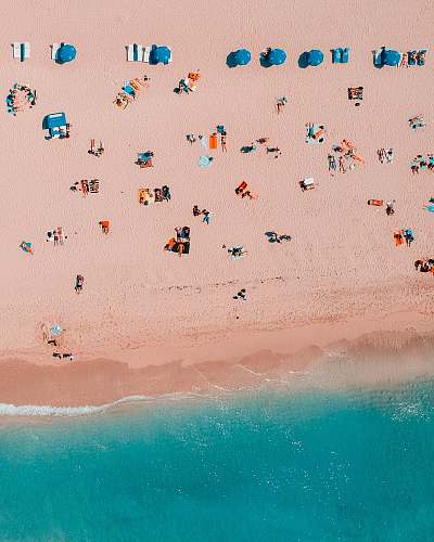beach bird's-eye view photography of people in seashore coast