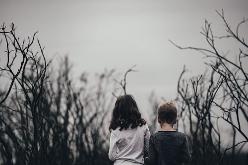 boy and girl surrounded by trees