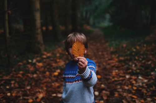 boy holding brown leaf covering his face