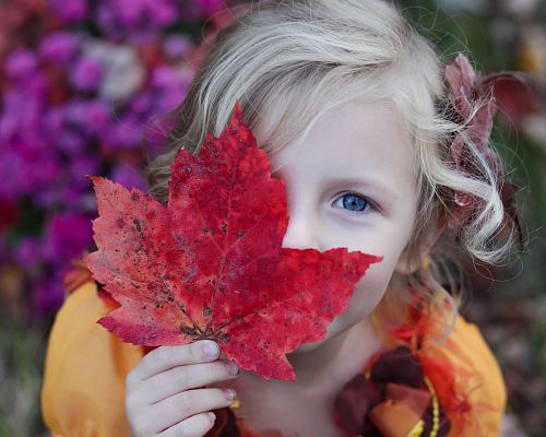 girl holding red maple leaf
