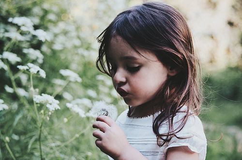 girl holding white flower during daytime