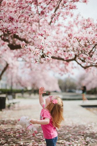 girl under cherry blossom tree