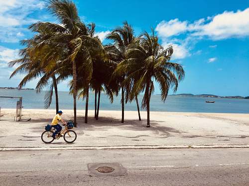 bicycle man riding bicycle near the beach during daytime transportation