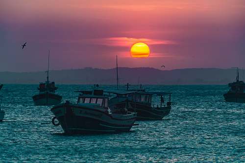 vessel landscape photography of sailing boats during golden hour watercraft