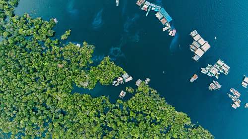 sea aerial view of houses on body of water coast