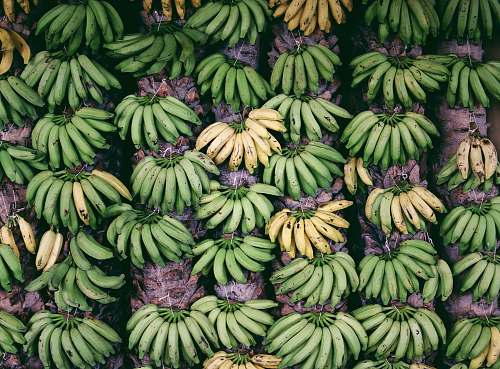 mangai banana fruit lot food