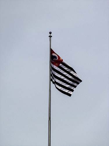 flag black and white striped flag emblem