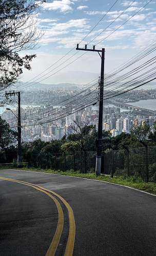 road black electric post beside green plants cable