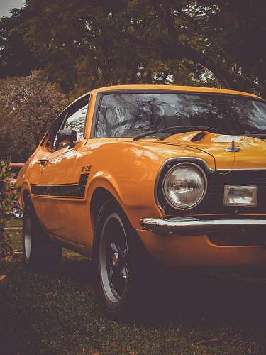 car yellow and black coupe on grass lawn windshield