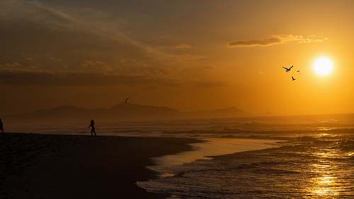 flare silhouette photography of woman on seashore light