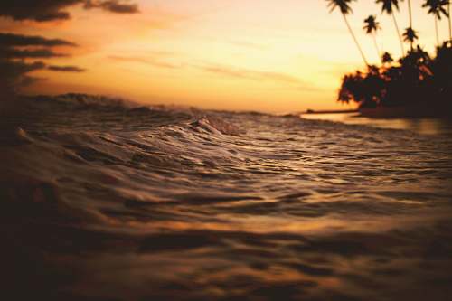 flora time lapse photography of sea waves jar