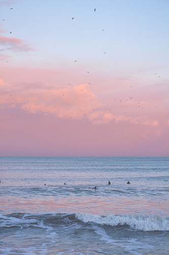 ocean people swimming at the beach sea