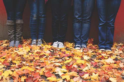 crabtree five people wearing blue denim jeans standing near maple leaves canada