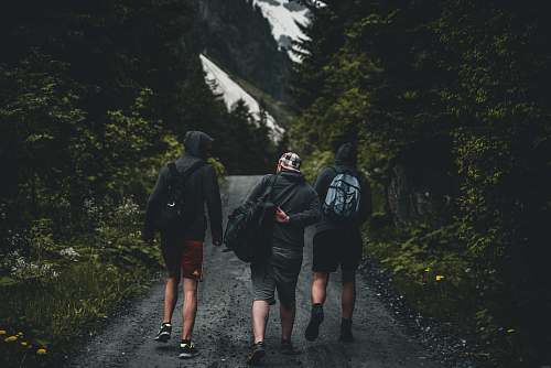 human three person walking on gray pathway person