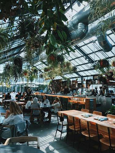 food group of people inside the restaurant cafe