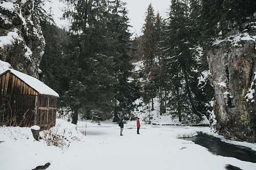 tree people standing on snowfield gârda de sus