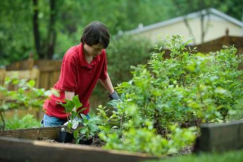 outdoors boy in red crew neck t-shirt and blue denim jeans sitting on brown wooden bench garden