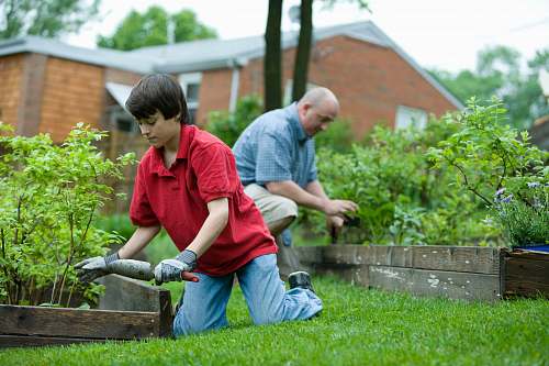 outdoors man in red polo shirt and blue denim jeans sitting on brown wooden bench during daytime garden