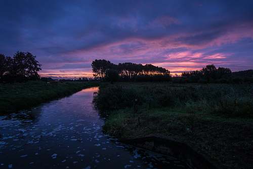 nature calm water ditch