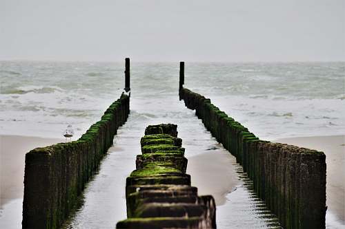 nature brown wooden fence on seashore coast