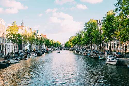 outdoors body of water under white sky amsterdam