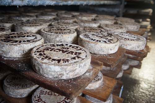 food selective focus of round white tools cheese