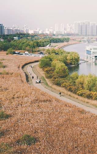 nature bird's eye view of river and road road