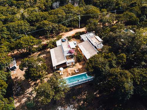 nature pool surrounded by trees outdoors