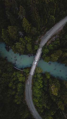 outdoors aerial view of green trees and lake scenery