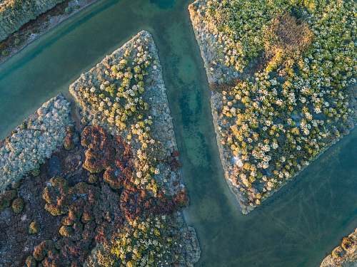 outdoors bird's-eye view photography of forest scenery