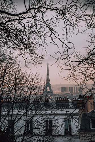 france Eiffel Tower, Paris photo grey