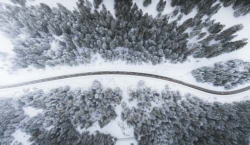 winter aerial view of road surrounded by trees landscape