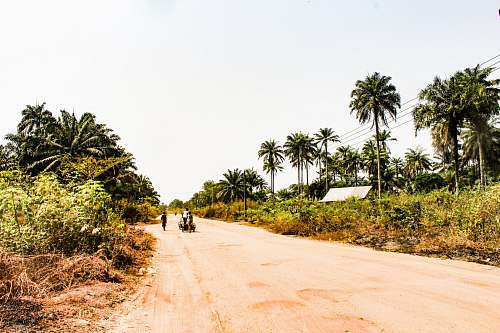 nature few people on road beside trees and green field under white skies road