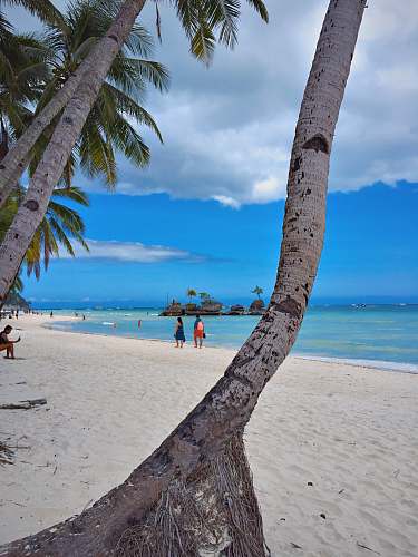 human people on beach during daytime person