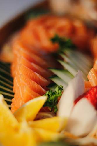 sushi cooked food close-up photography plant