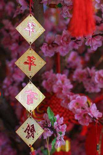 pattern pink petaled flowers ornament