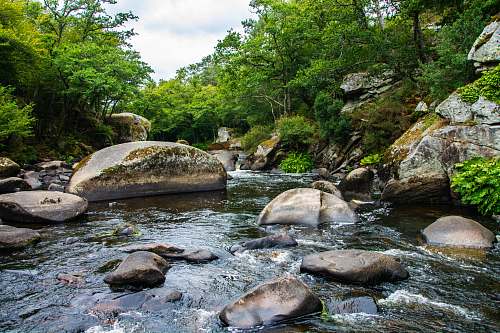  gray stones river 