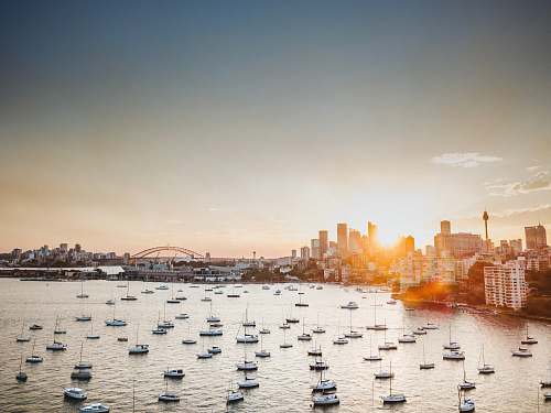 water aerial view of white ships sydney