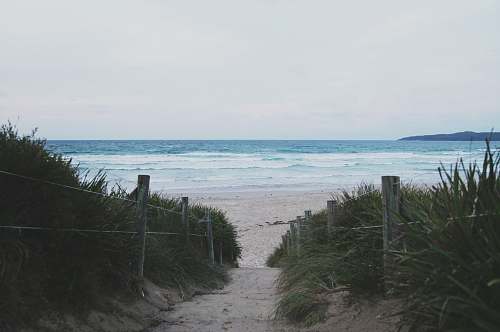 sea footpath between green leafed bushes leading to seashore ocean