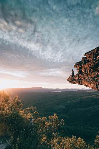 rock man sitting on mountain rock tree